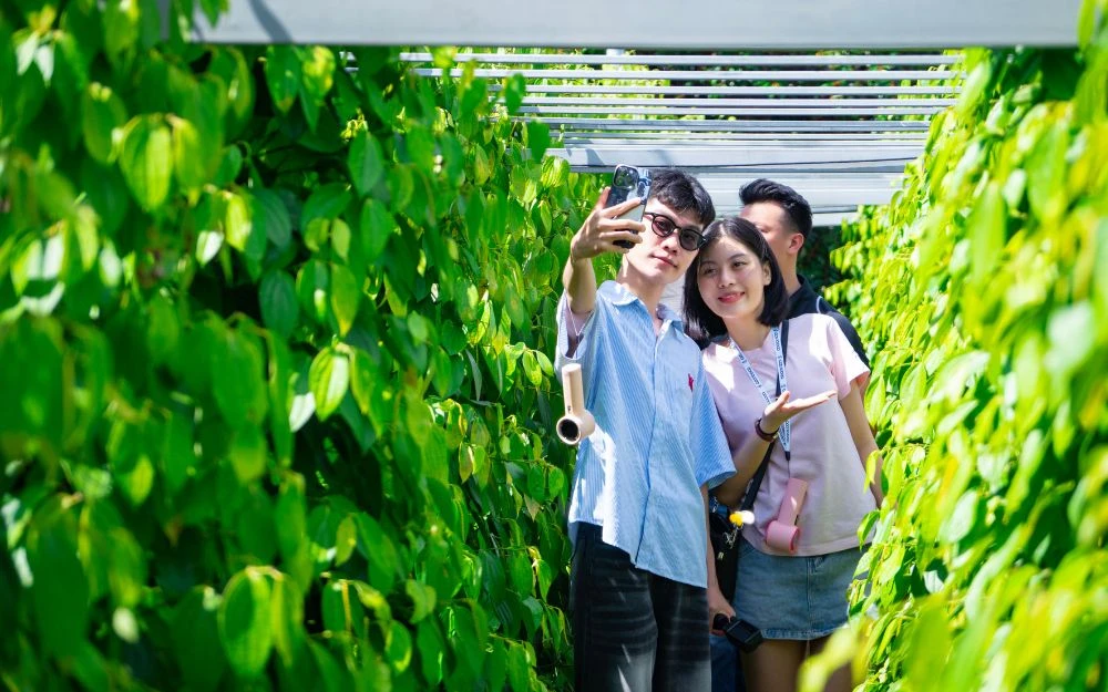 du-lich-phu-quoc-thang-3-co-dep-khong-kinh-nghiem-chi-tiết