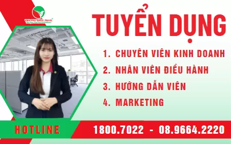 Vina Phu Quoc Travel Tuyển Dụng Nhân Sự Công Ty
