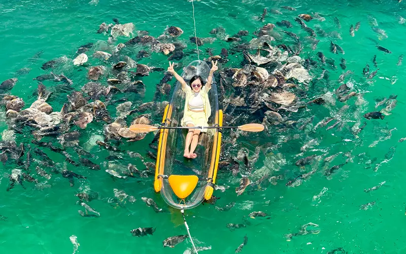 tour-phu-quoc-huong-vi